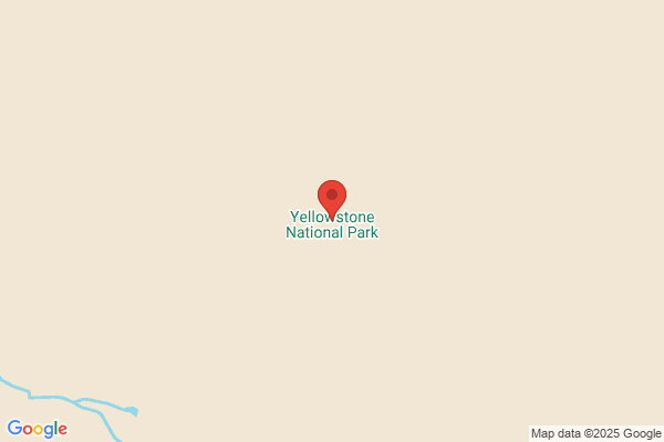 The Yellow Stone Path
