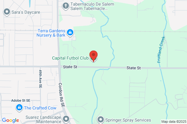 Cascade Surge Soccer