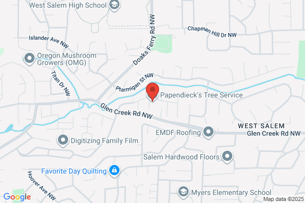 Papendieck's Tree Service