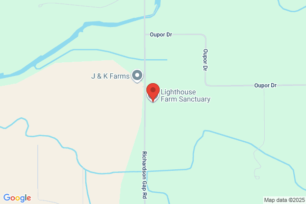 Lighthouse Farm Sanctuary