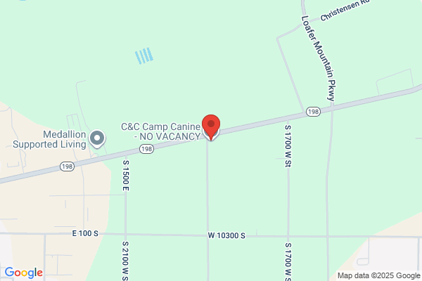 C&C Dog Grooming - Payson