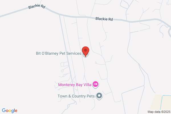Bit Oblarney Pet Services