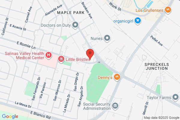 Romie Lane Pet Hospital