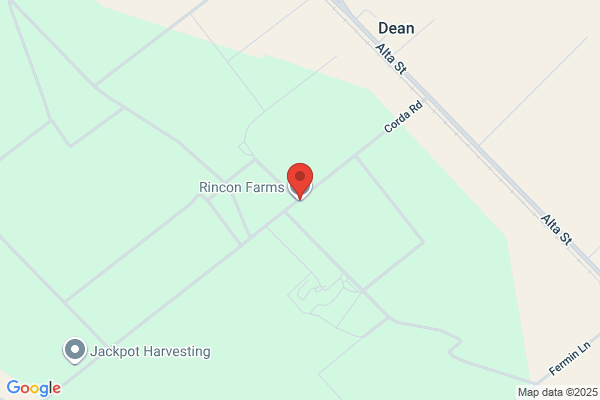 Rincon Farms Inc