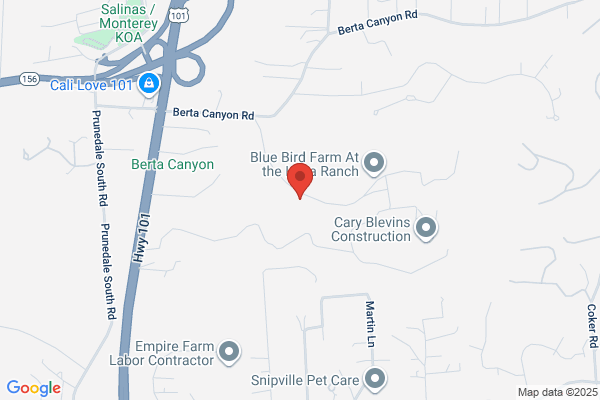 Prunedale Properties