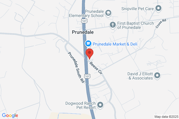 Prunedale Motors