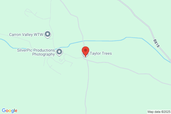 Taylor Tree