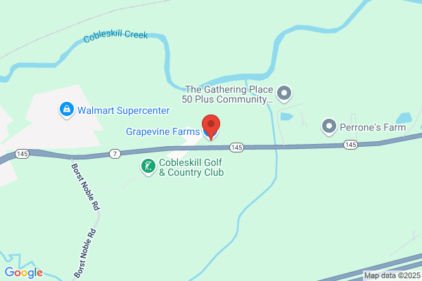 Grapevine Cafe Inc