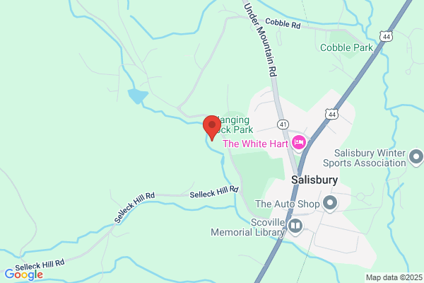Salisbury Artisans