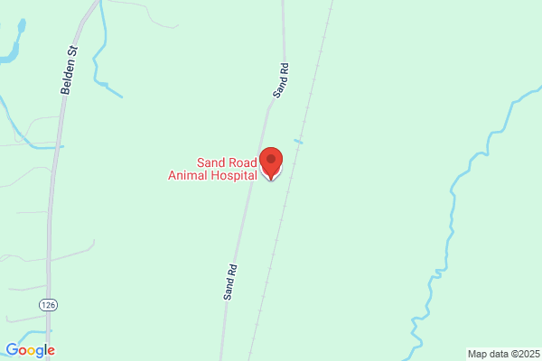 Sand Road Animal Hospital