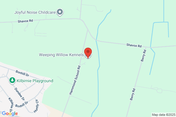 Weeping Willow Kennels