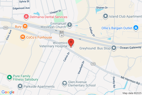 Wicomico Veterinary