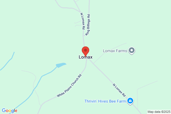 Lomax & Associates