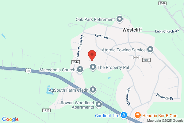 Peacock Party Planning