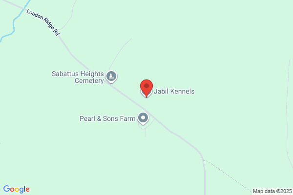 Jabil Kennels