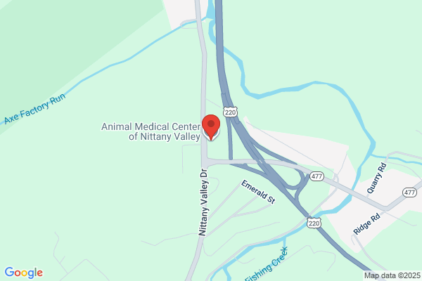 Animal Medical Center of Nittany Valley