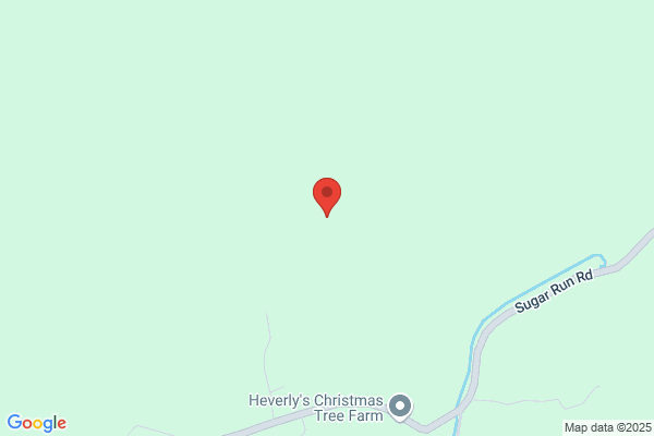 Bald Eagle Township, Authority