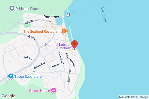 Lobster Hatchery the