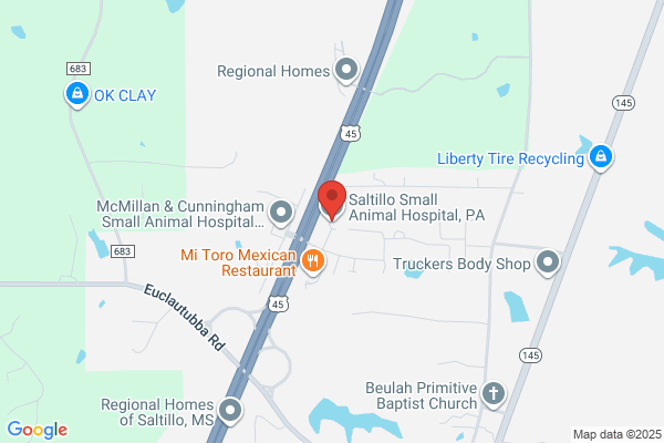 Saltillo Small Animal Hospital, P.A.
