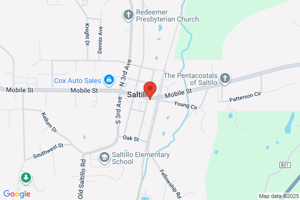 City of Saltillo