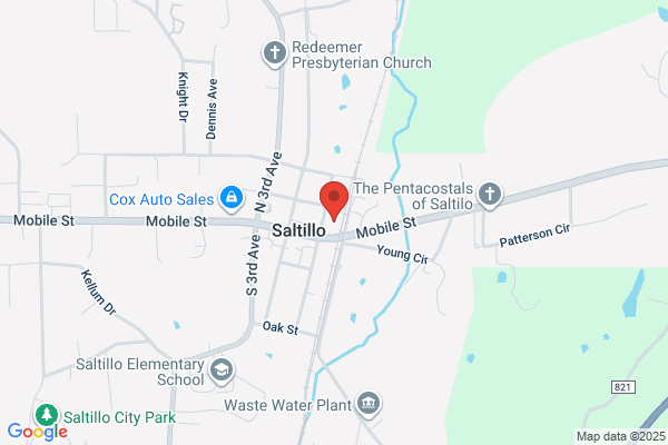 Saltillo Guntown Gazette