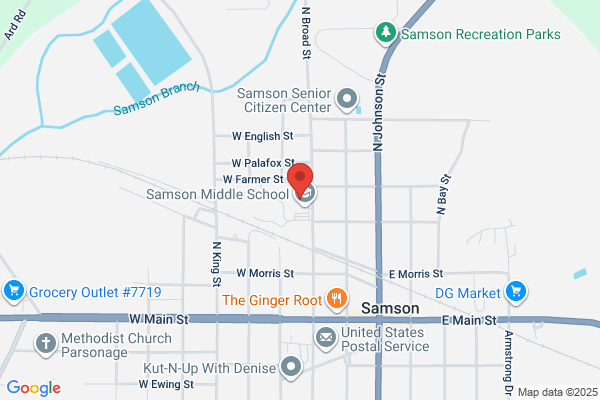 Samson High School