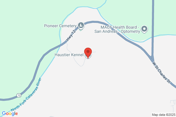 Haustier Kennel