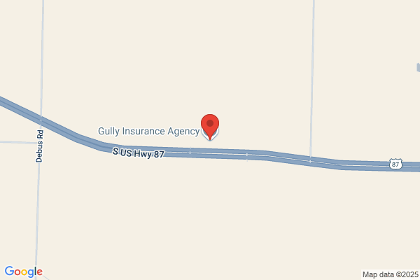 Gully Insurance Agency