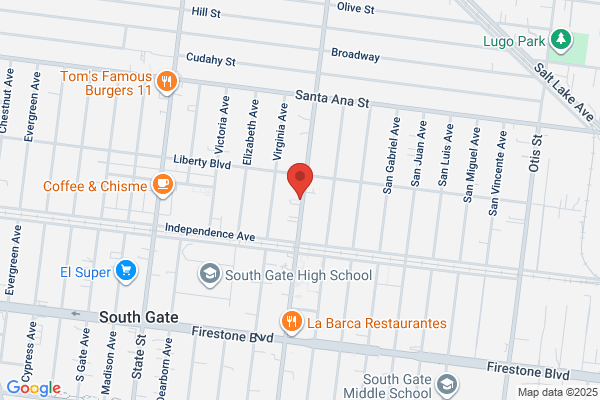 California Surveillance Systems