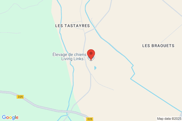 Livinglinks