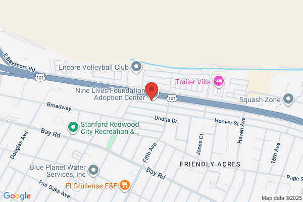Chem-Tech-Exodus Termite & Pest Control Inc