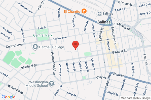 Selina's Bail Bonds