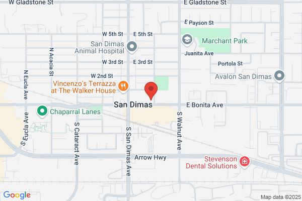 Downey Savings & Loan