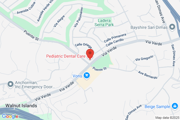 Corina Ramirez D.D.S., Pediatric Dental Care