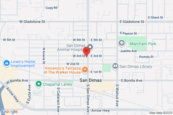 San Dimas Surgical Medical Center Institute Inc