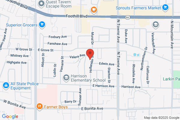 Downtown Pest Control Services