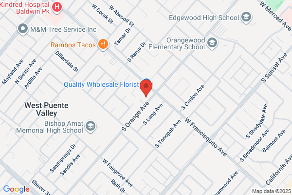 Alvarado Luis Arturo DDS Inc