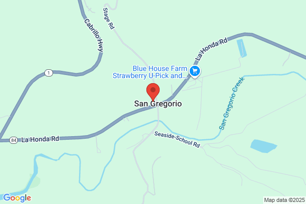 San Gregorio General Store