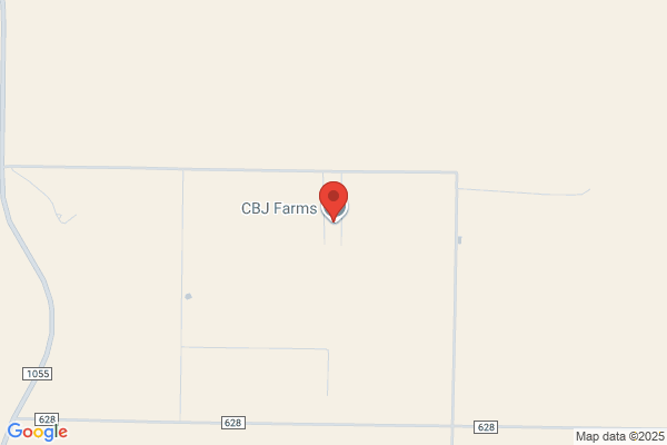 Cbj Dairy