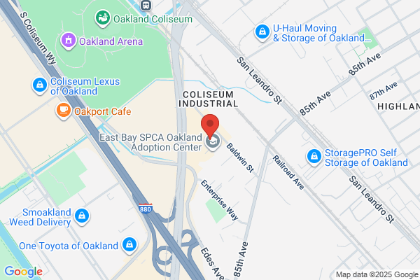 Coliseum Cleaners