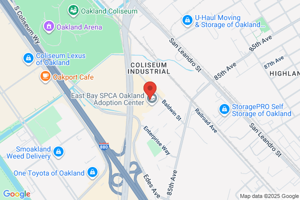 Fresenius Kidney Care E. 14th San Leandro