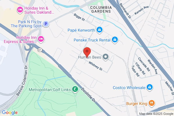 Albion Plumbing and Rooter, Inc