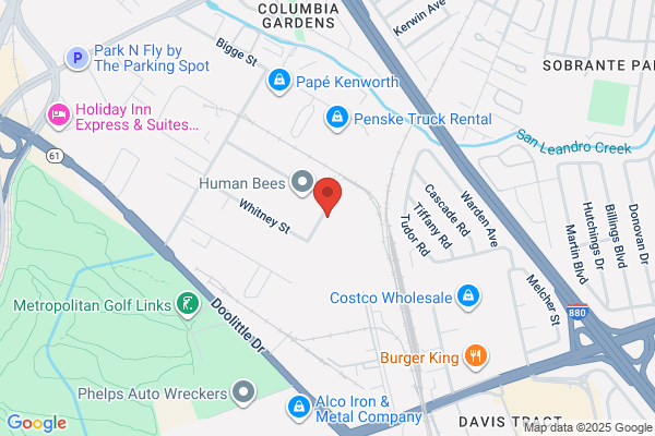 Jensen & Mayta Properties