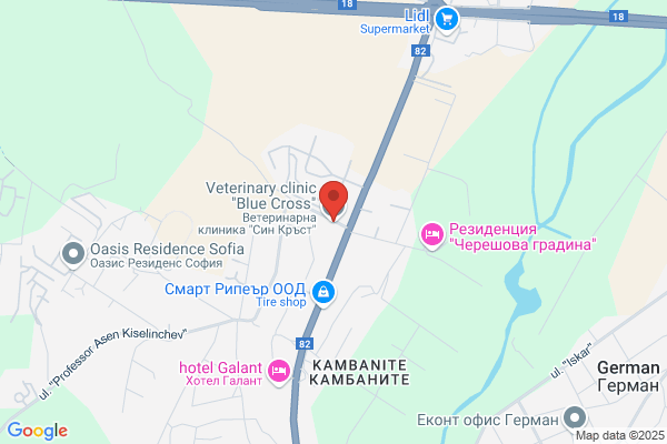 Blue Cross Veterinary Clinic