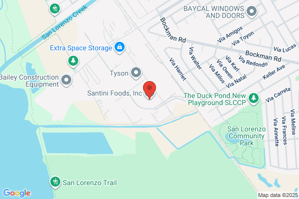 Santini Foods Inc