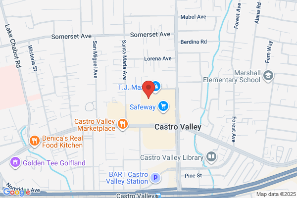 Rebecca Sayami, REALTOR - East Bay Real Estate