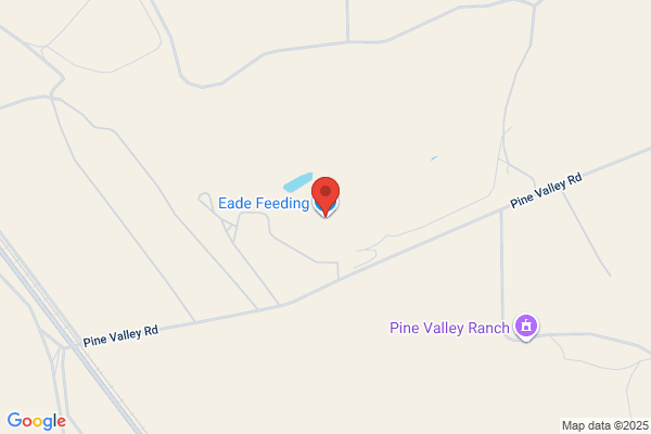 Eade Ranch Management