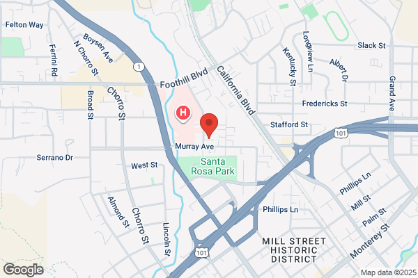 Segal Harold D MD