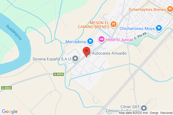 Auto Repairing Brenes