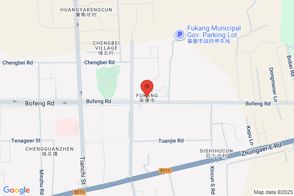 Fukang International